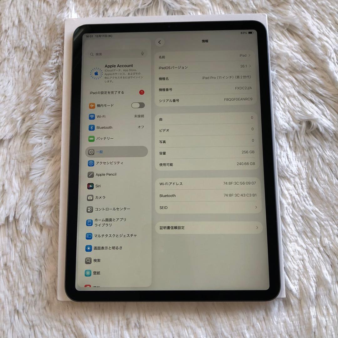 【完動品】iPad Pro 11インチ 第2世代 256GB 【すぐ発送】