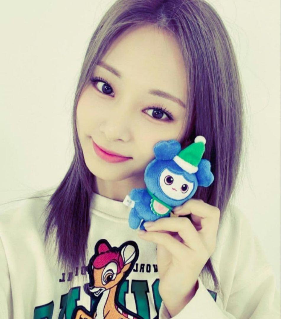 ☆TWICE☆ラブリーバッグチャーム☆