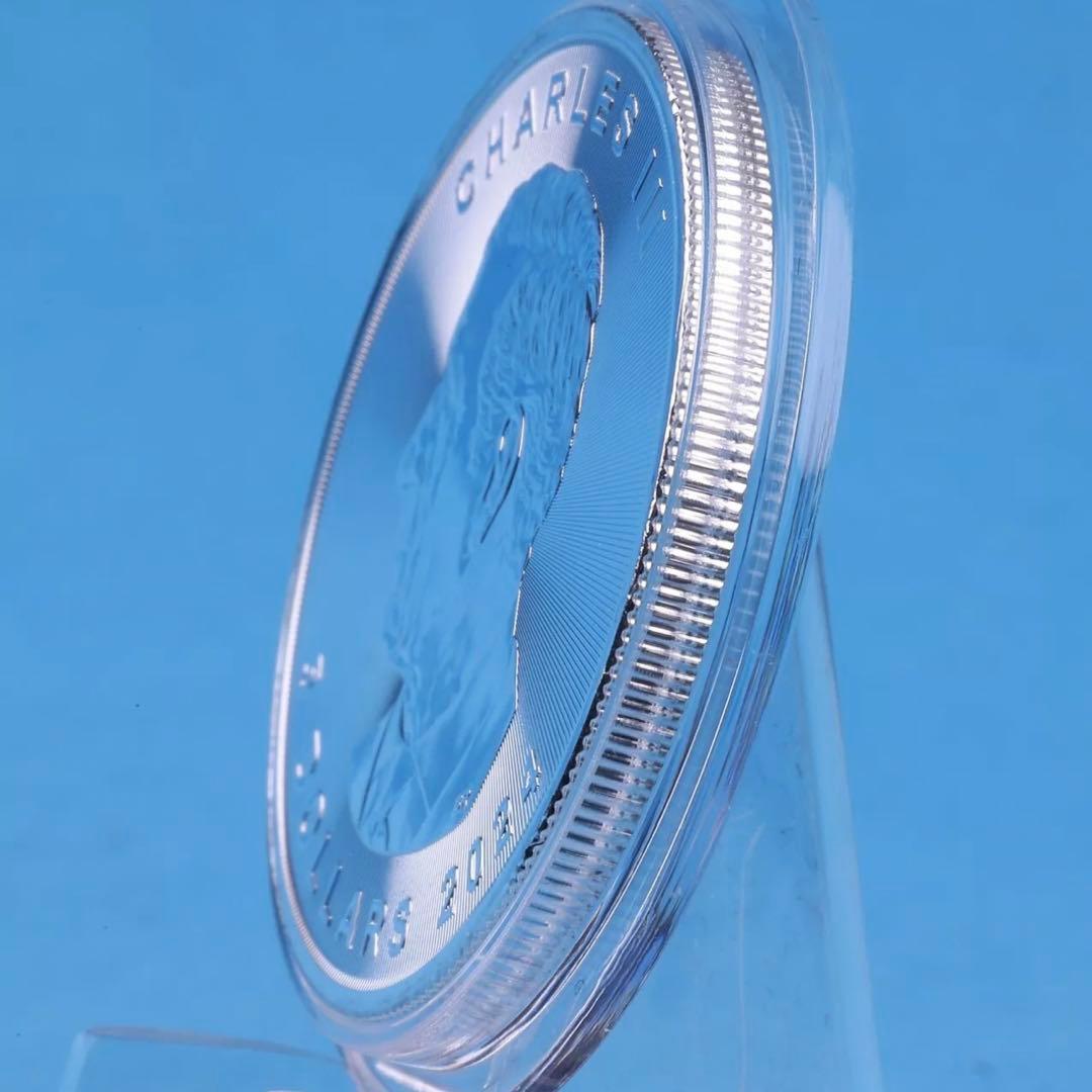 【世界100枚限定！】カナダ メイプルリーフ 銀貨 カラー スタースケルトン