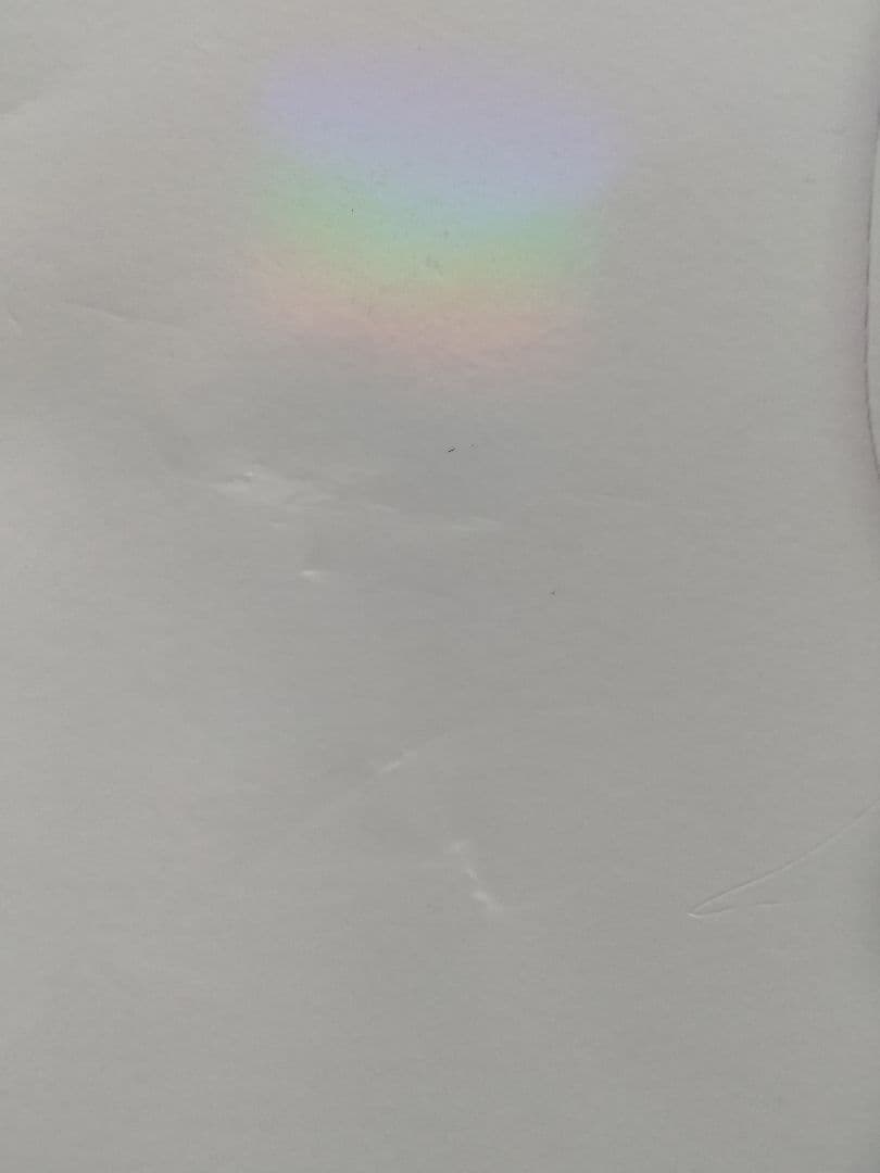 ミュウツーの逆襲 EVOLUTION パンフレット カード付き