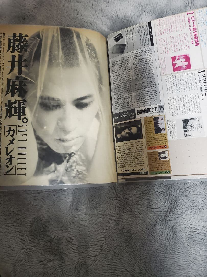 SOFT BALLET+ends雑誌切り抜き大量