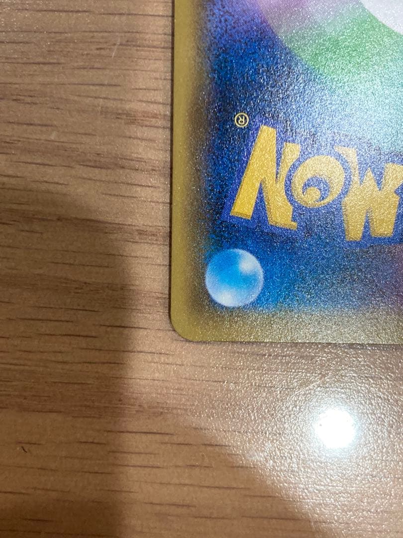 エリカのおもてなし SR