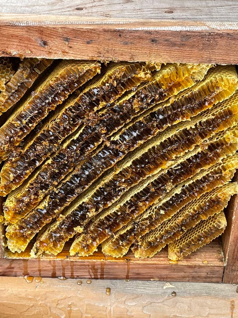 日本蜜蜂重箱式巣箱ハニーズハウス！ニセット！超訳あり特価！送料無料！