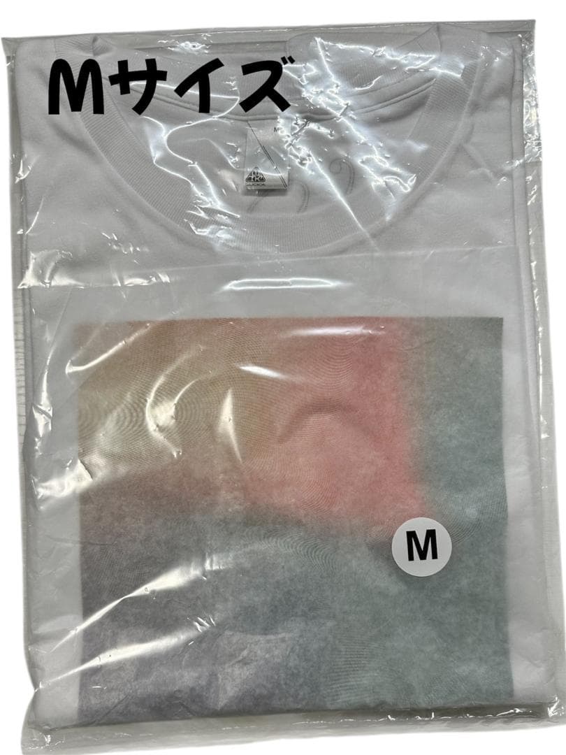 RADWIMPS スペシャルコラボレーションTシャツ　Mサイズ