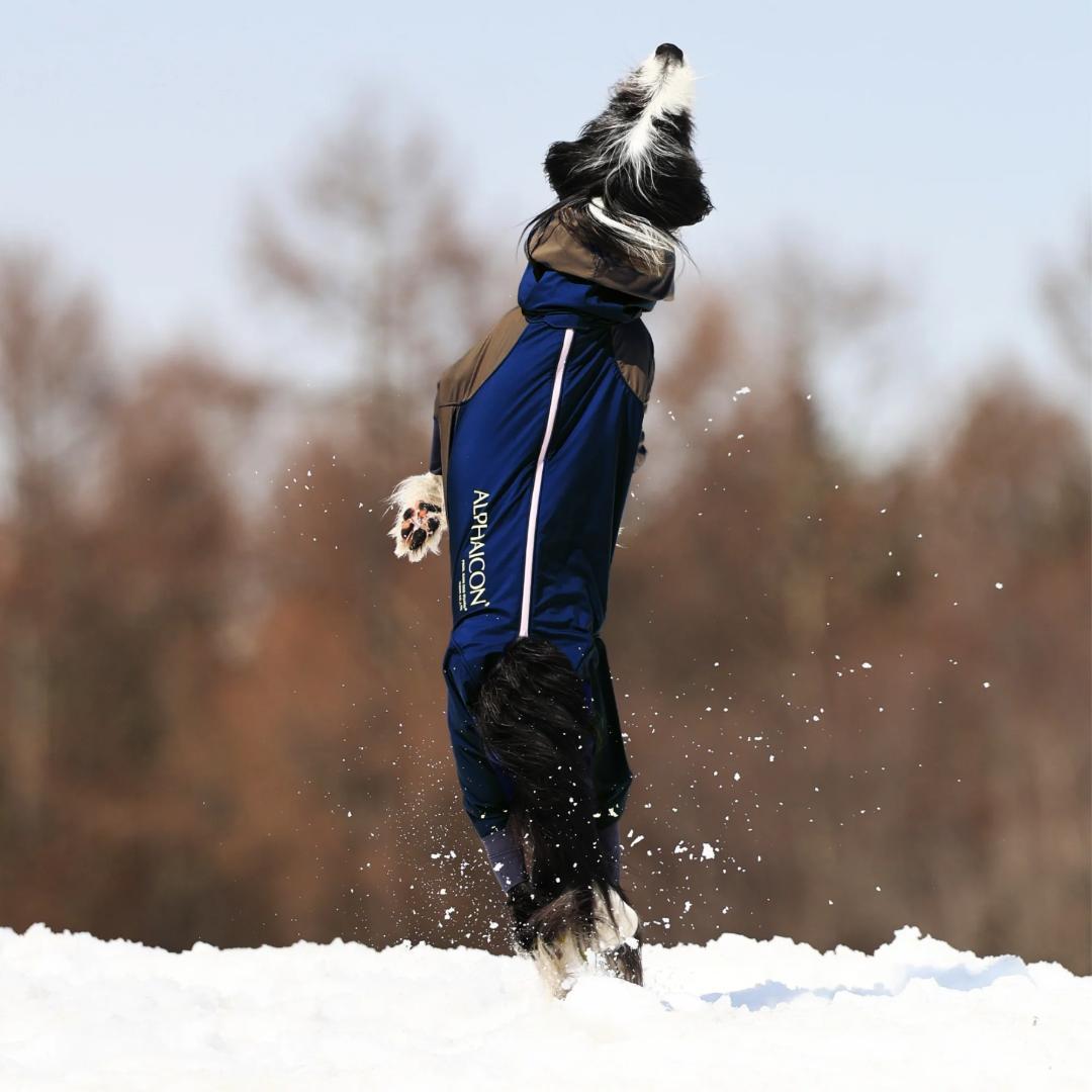 新品 アルファアイコン ALPHAICON スノードッグガード Sサイズ 犬服