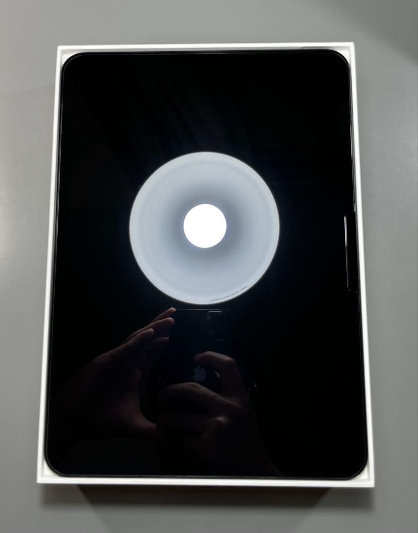 iPad Pro 11インチM4 256G ➕Apple Pencil Pro