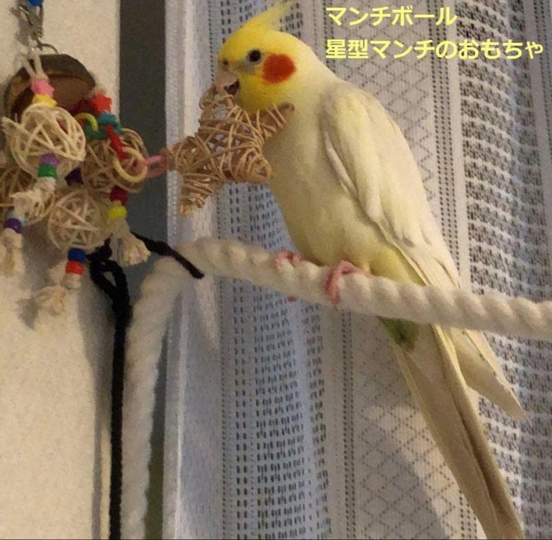 ハンドメイド インコのおもちゃ・止まり木 オーダーページ