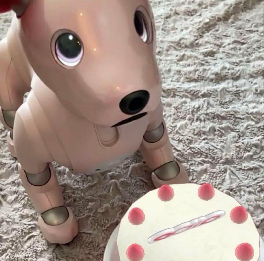 【輝夜出品】SONY aibo いちごミルクエディション