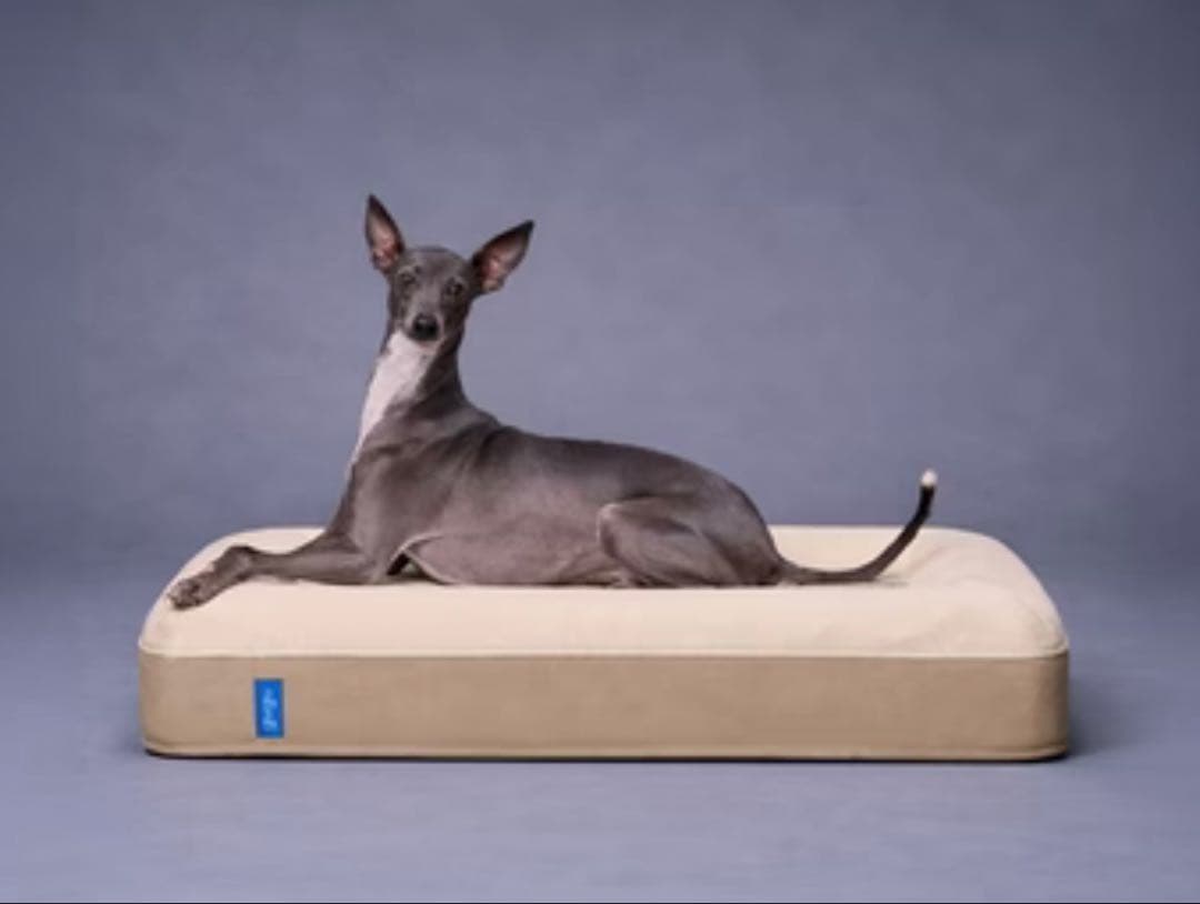 【美品】グーグースリープ　gugu犬用ベッド・クッション