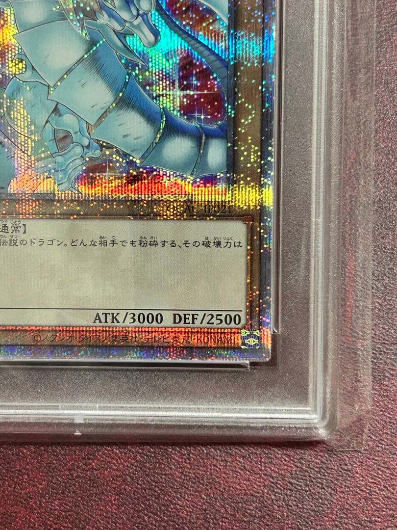 PSA10 連番 ブラックマジシャン 青眼の白龍 25th クオシク 絵違い