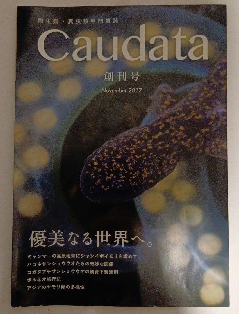Caudata 創刊号