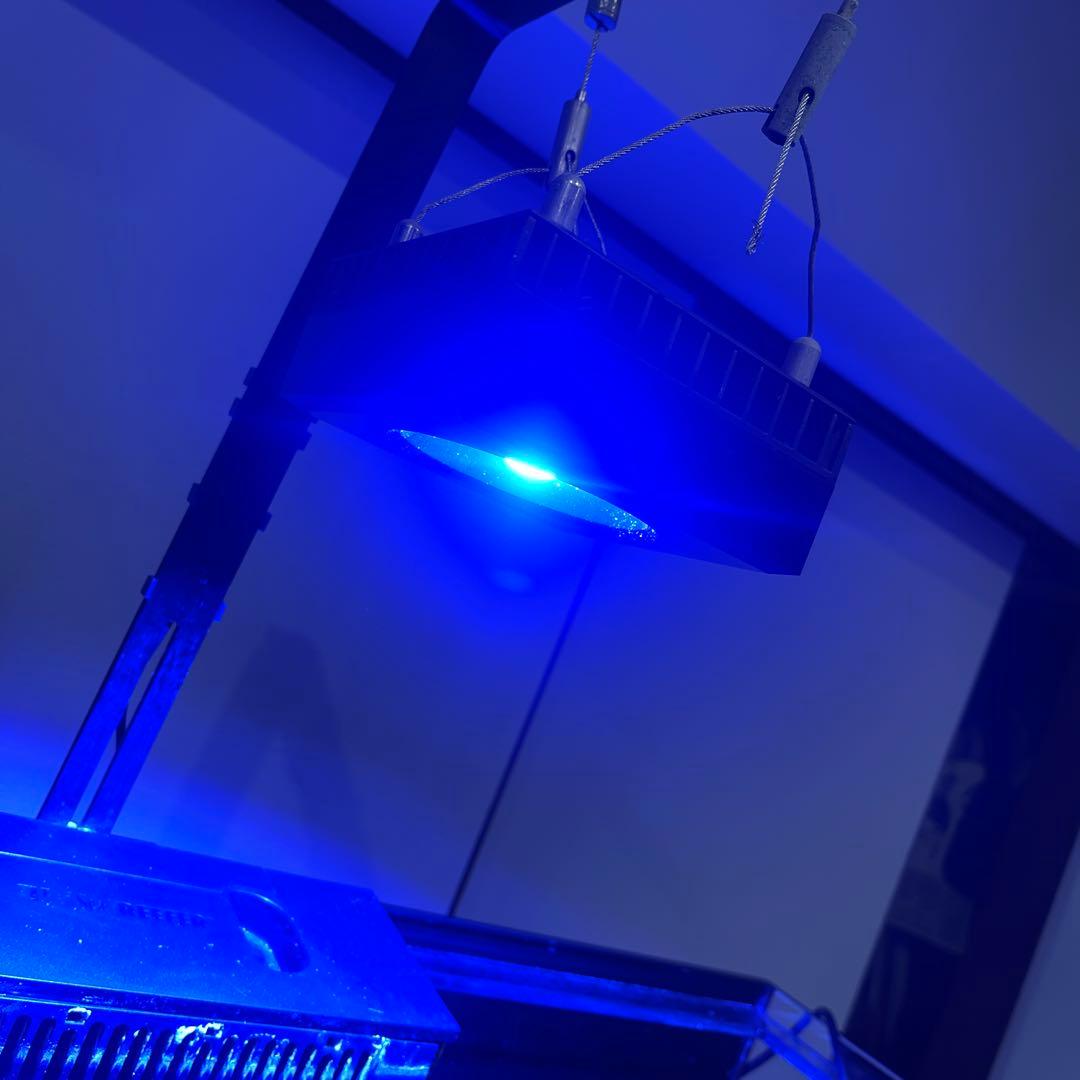 Red Sea REEFER 250 オーバーフロー水槽