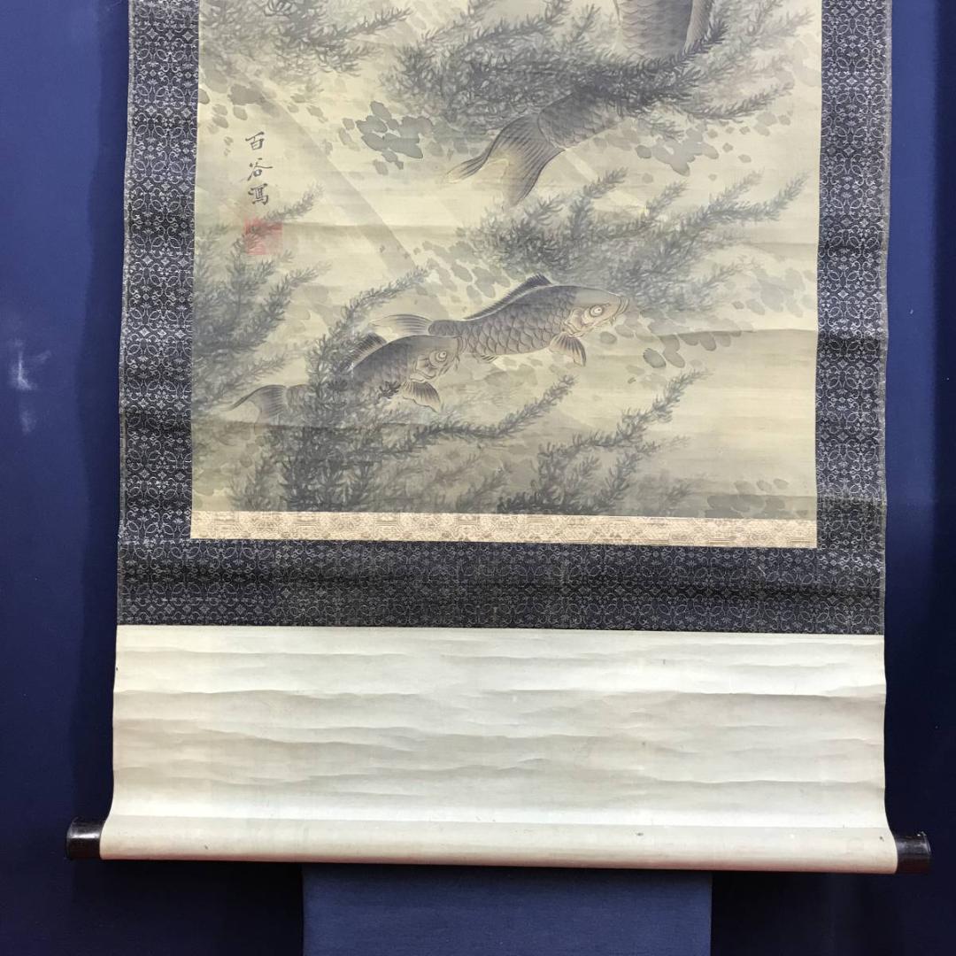 模写/小田海僊/百谷/鯉図/遊鯉図/游鯉図/掛軸/名家伝来AE-288