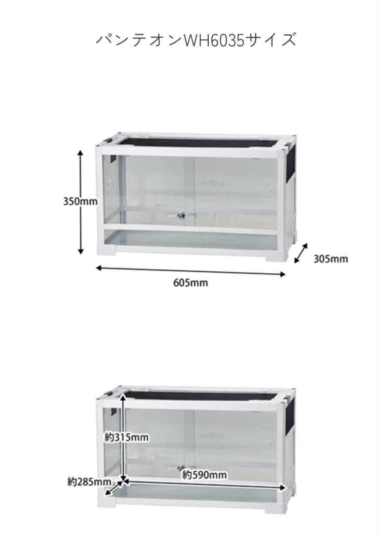 パンテオンWH6035 三晃商会 飼育ケース ガラスケース 爬虫類 小動物 リス