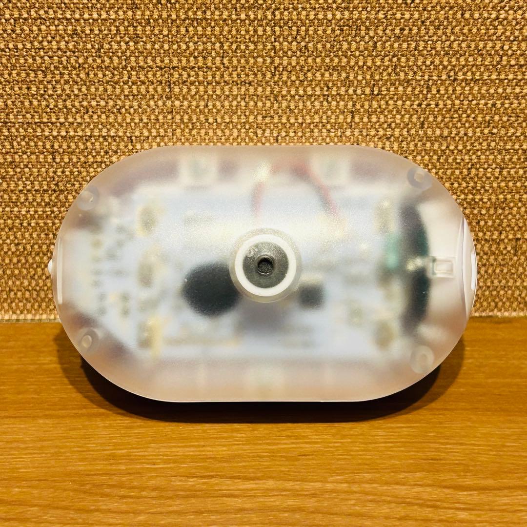 ポケットモンスター　なでておしゃべり♪きらめきテラパゴス　タカラトミー