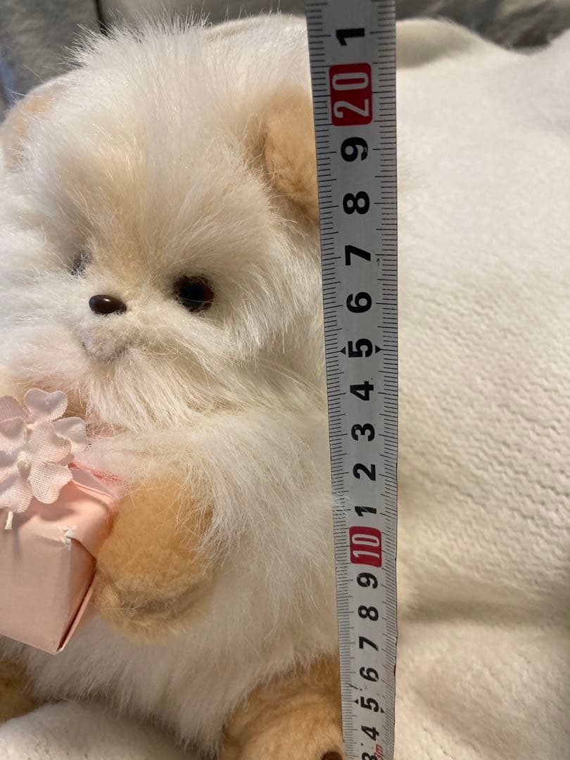 希少！オオイケぬいぐるみ