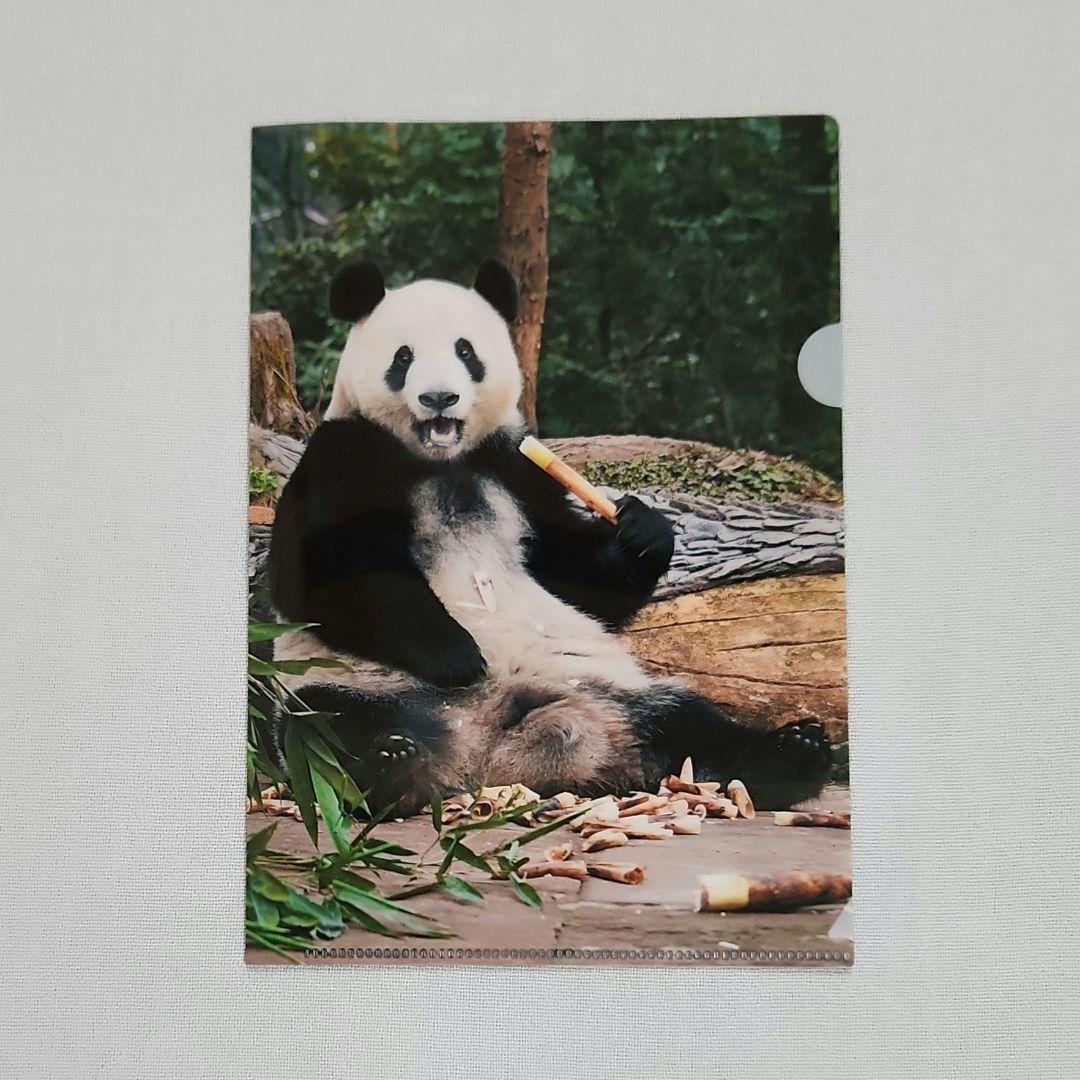 シャンシャン　ミニカレンダー　クリアファイル　大パンダ展　非売品