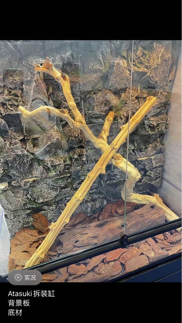 爬虫類両生類飼育ケージ組み立て式 ガラス飼育ケージ60x40x80cm引取り限定