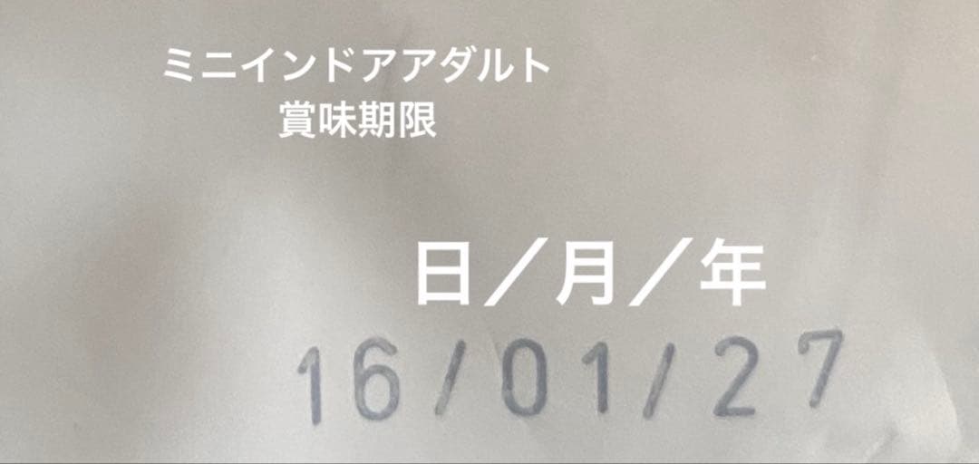 ロイヤルカナン　ミニインドアアダルト　10kg