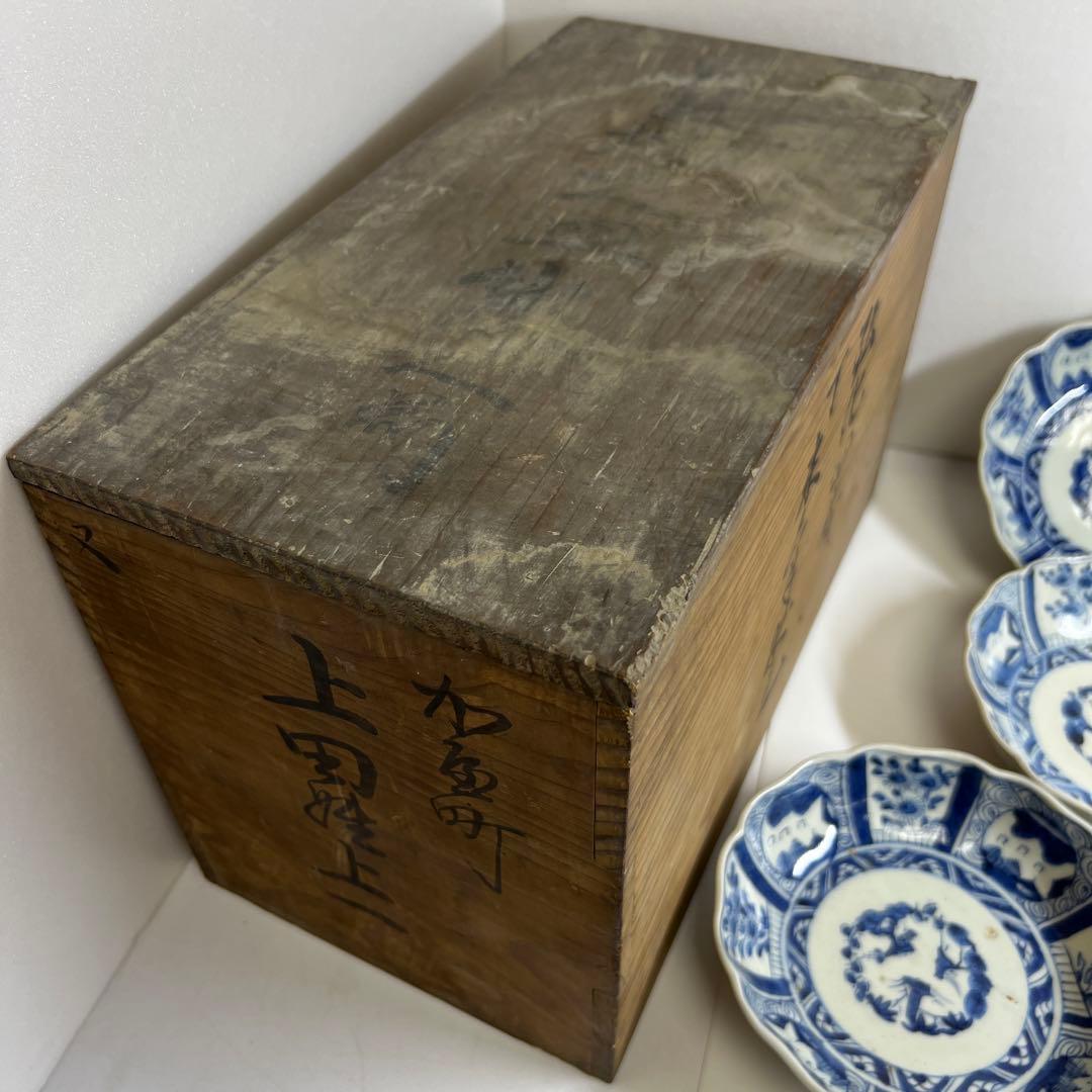 古伊万里　輪花染付膾皿9客　木箱付　幅約15.5㎝　東Y7-0924⑤タサチ