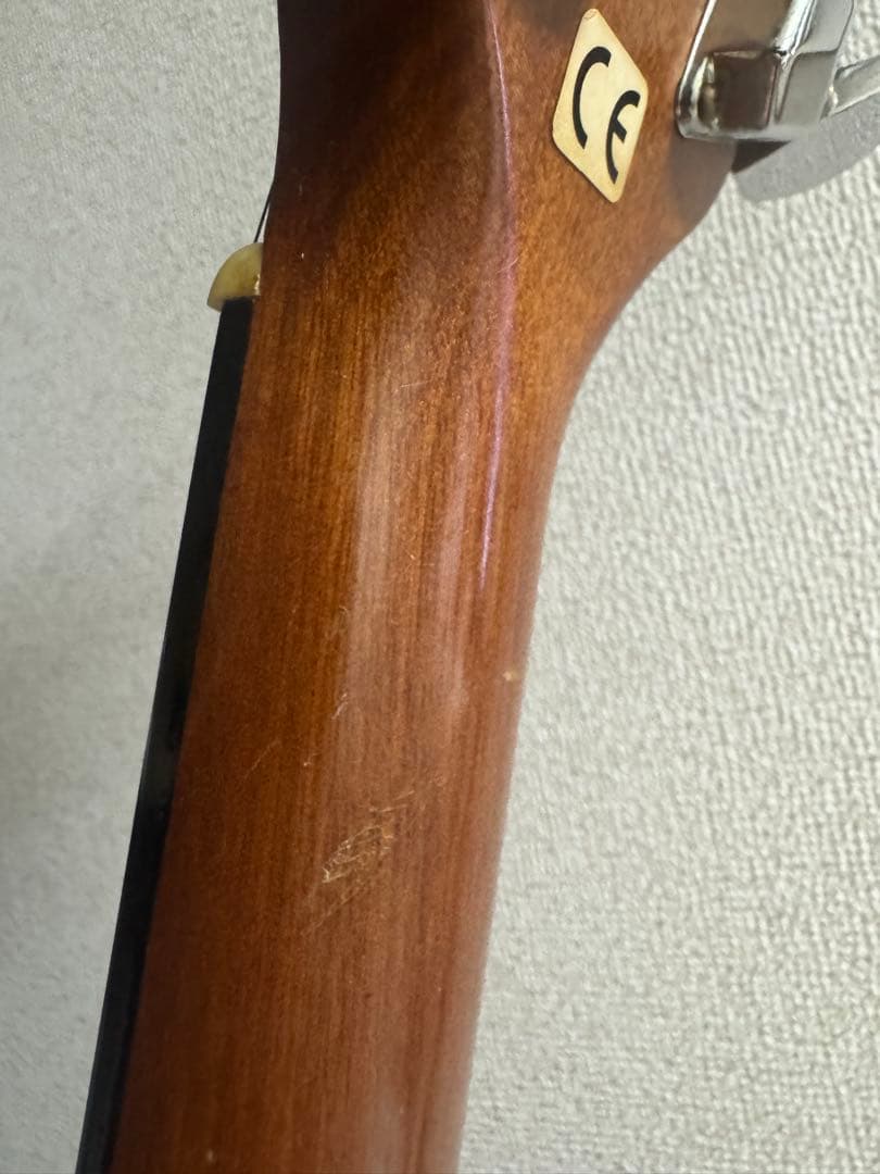 cat's eyesアコースティックギター　ソフトケース付き