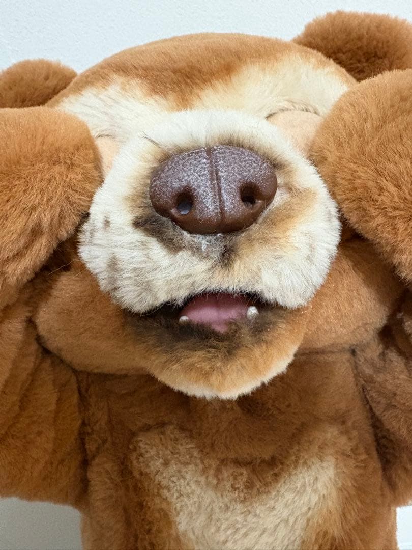 こぐまのカビー　ファーリアル