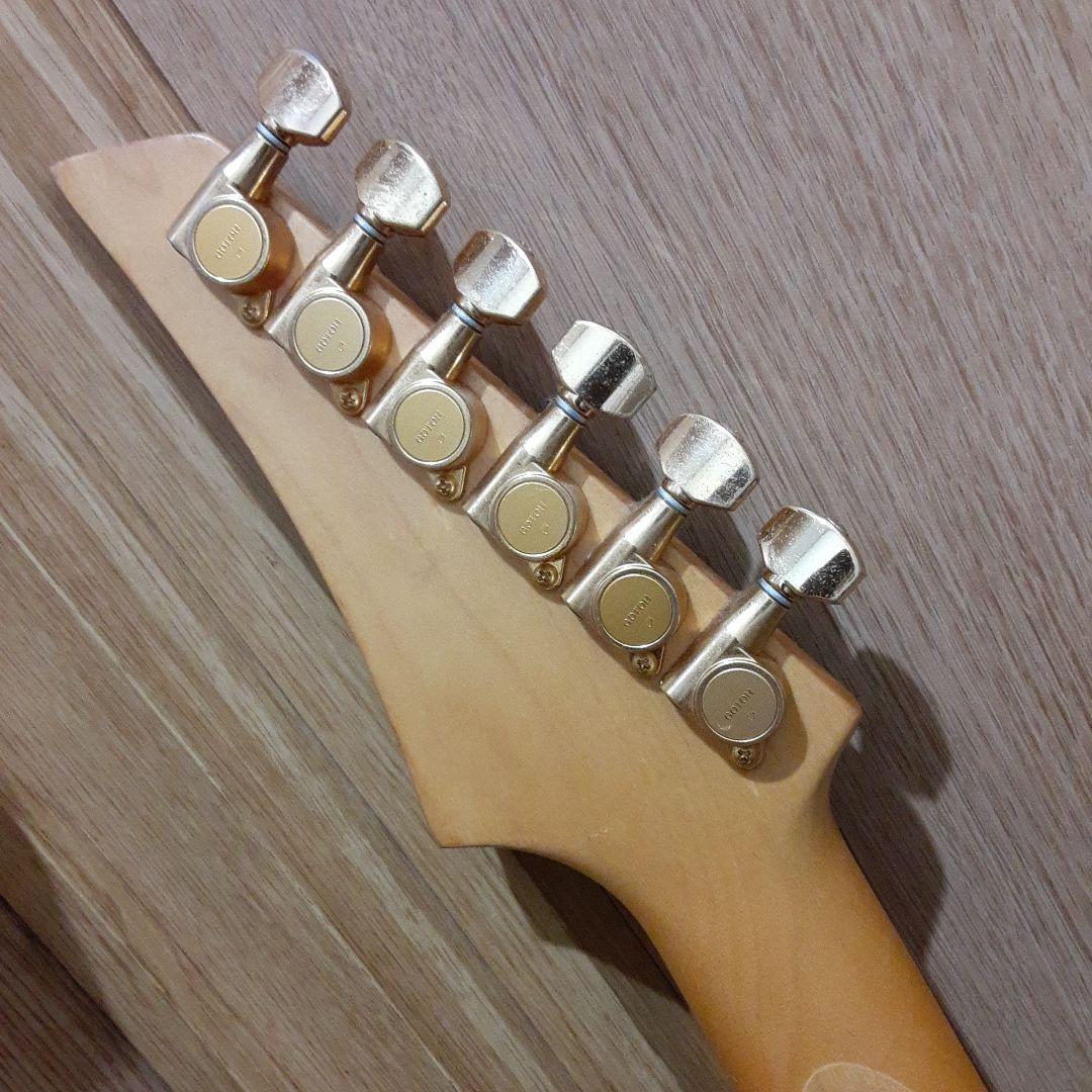 フェルナンデスエレキギター＆ソフトケース＆ショルダーストラップ&新品弦セット