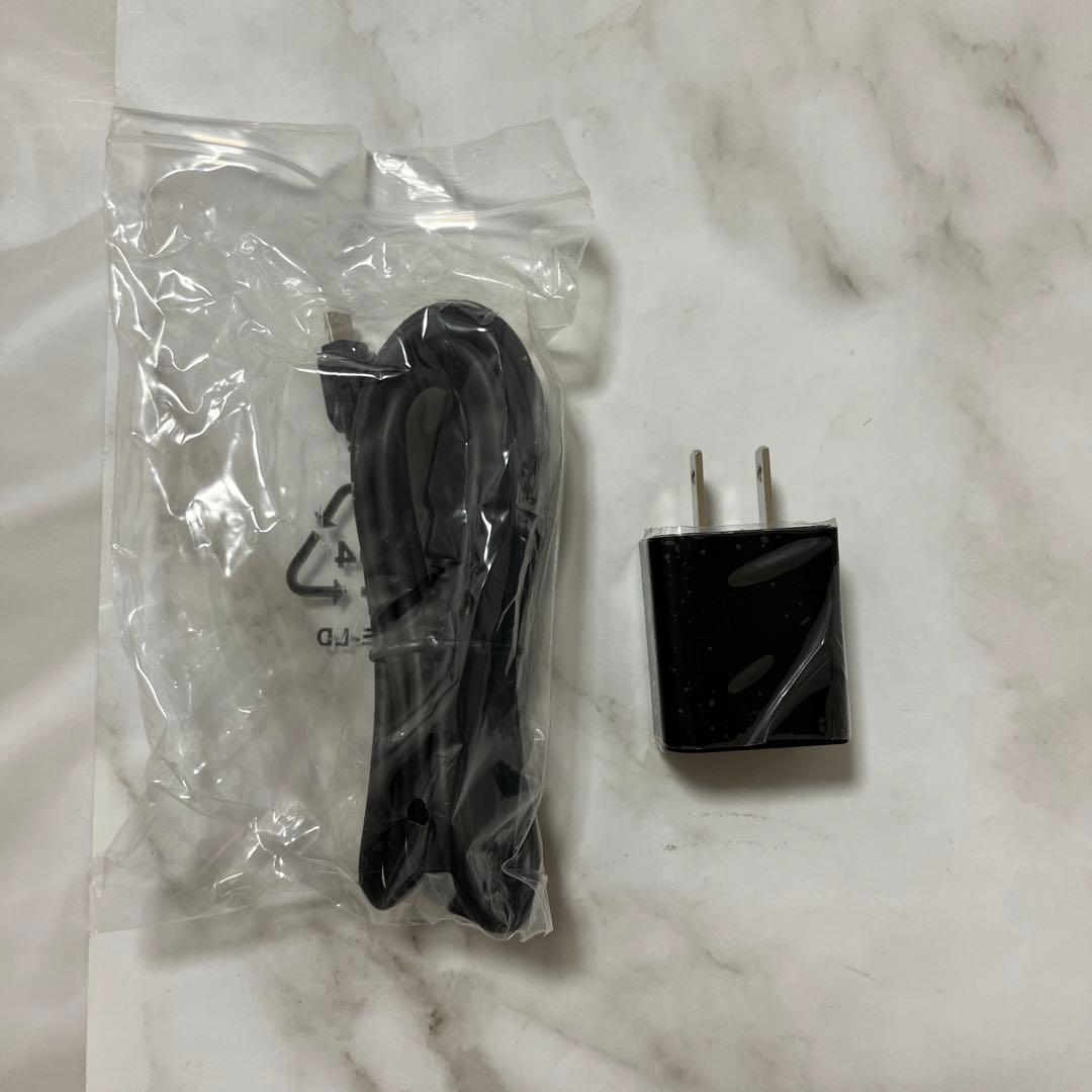 PYR パイラブラッシュ 美顔器 パイラブラッシュセラム付き