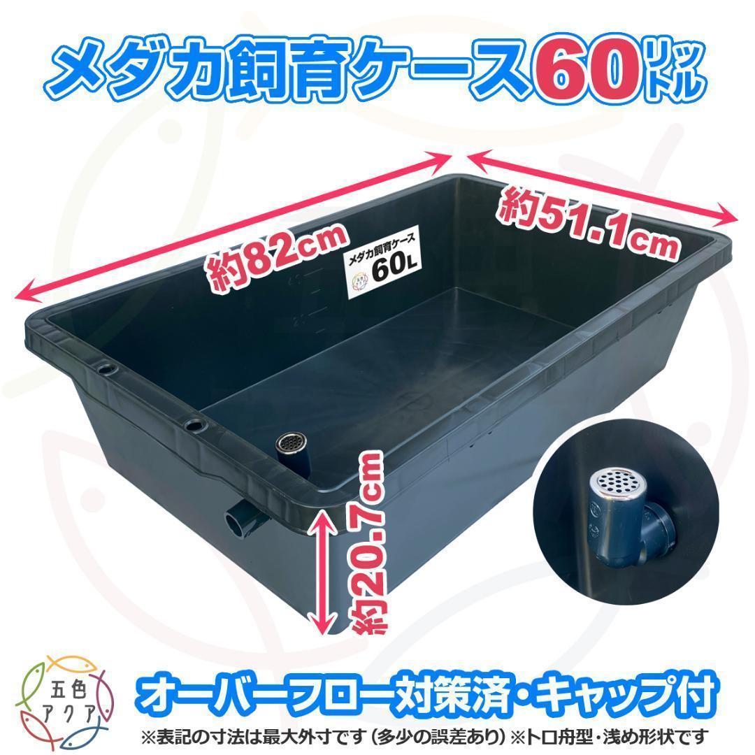 メダカ飼育ケース 60㍑x3個 トロ舟 オーバーフロー加工済 金魚飼育容器 越冬