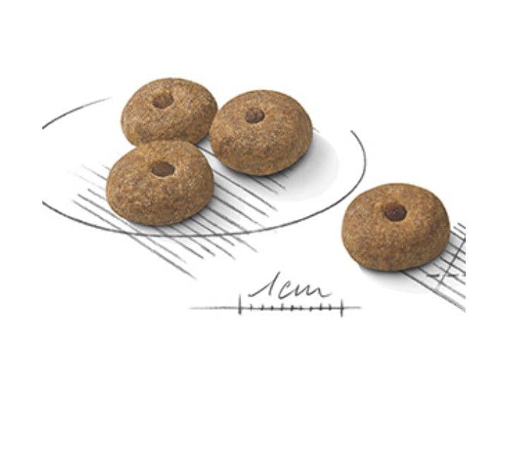 ロイヤルカナン ミニステアライズド 避妊去勢犬用 8kg