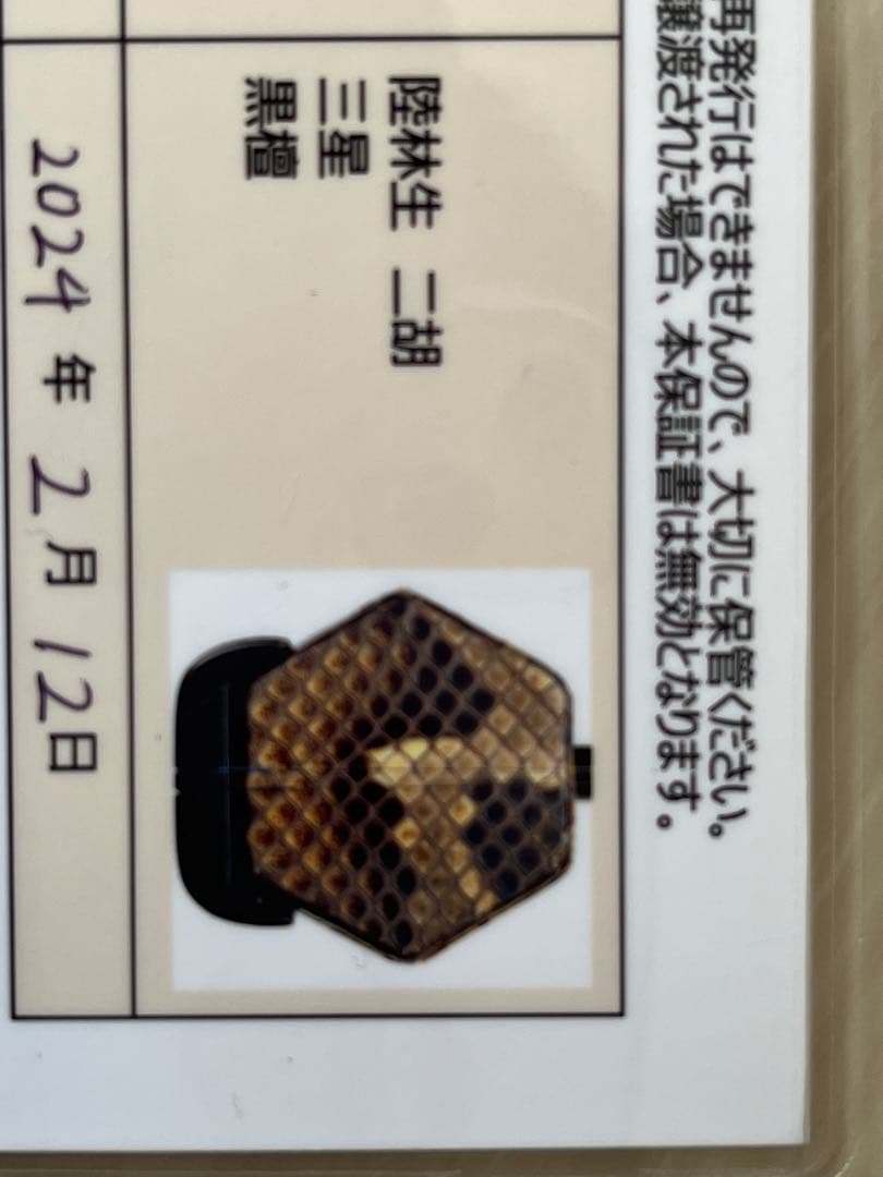 陸林生　二胡　黒壇　三星