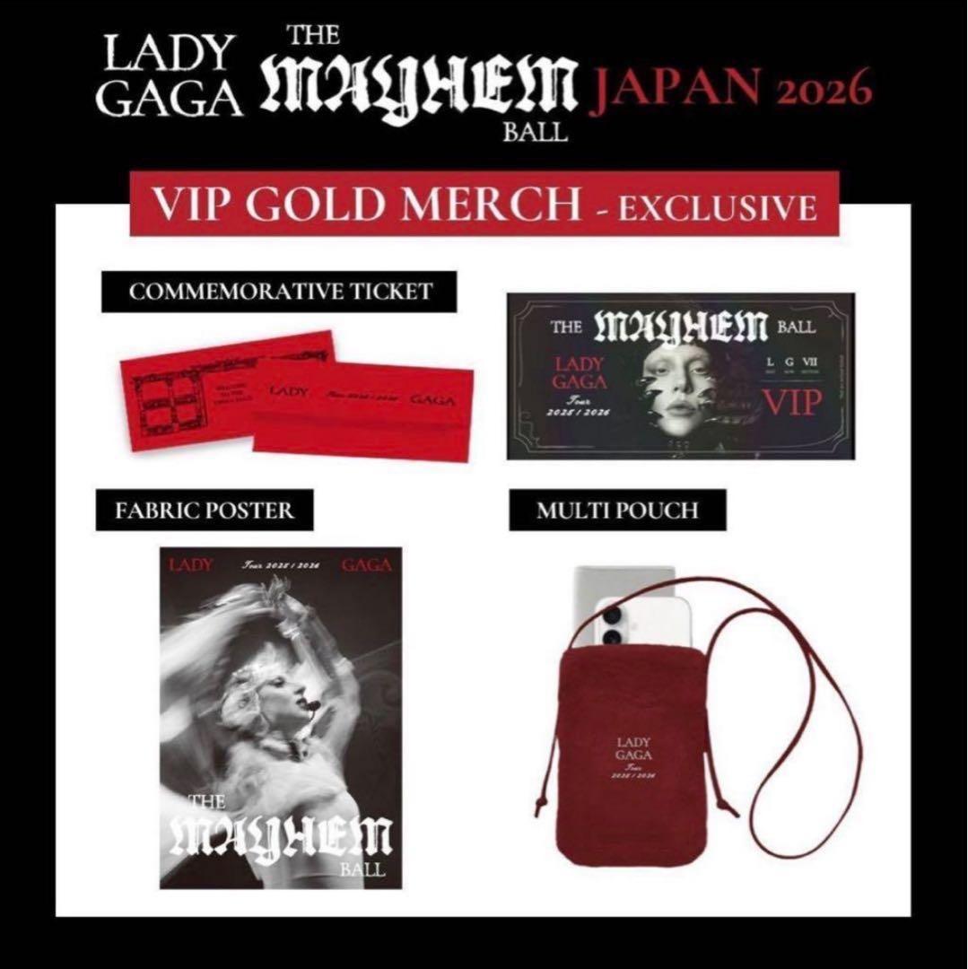 LADY GAGA VIP GOLD グッズ フルセット ゴールド