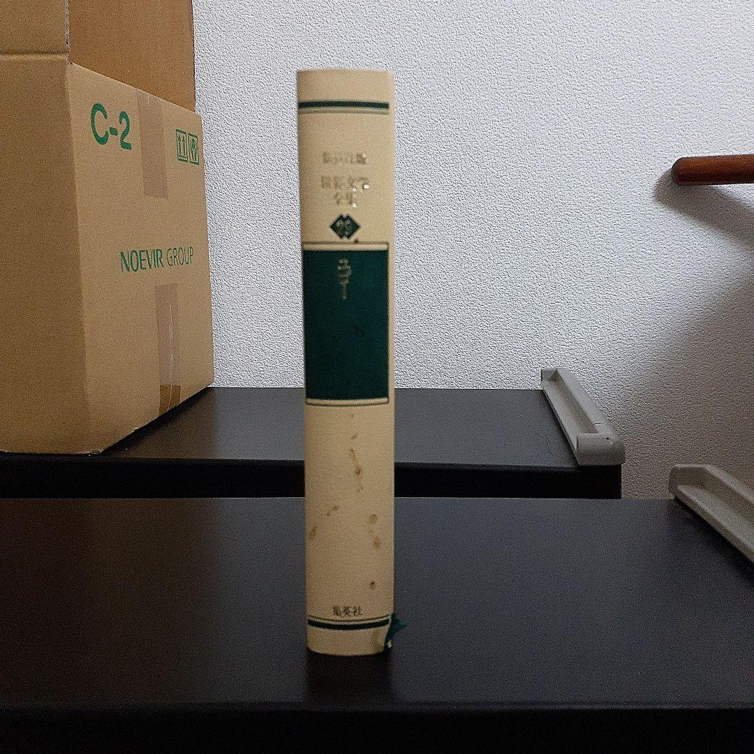 集英社版 世界文学全集88巻