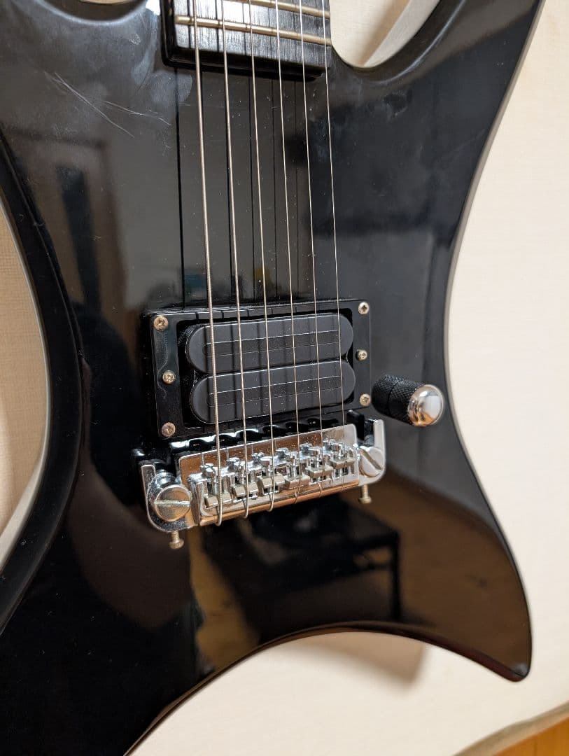 ギター Stealth (chuck schuldiner tribute)