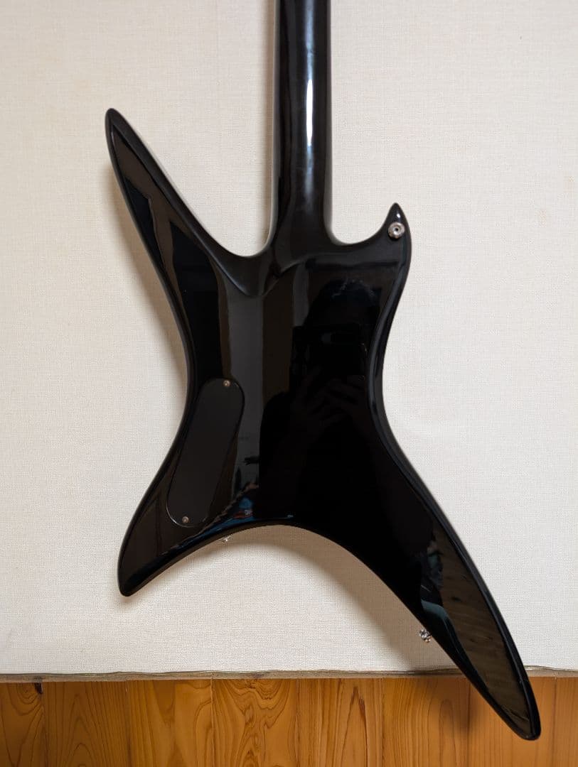 ギター Stealth (chuck schuldiner tribute)