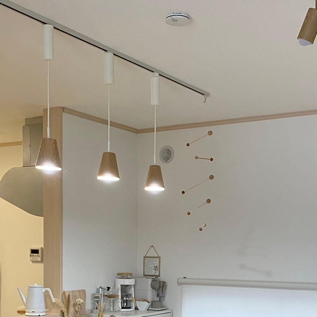 ODELIC オーデリック ペンダントライト OP252180LD 3個