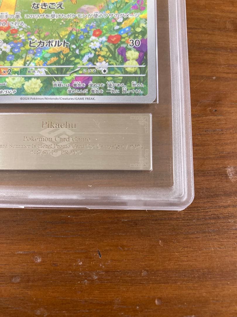 ピカチュウ 夏がキタ ars10