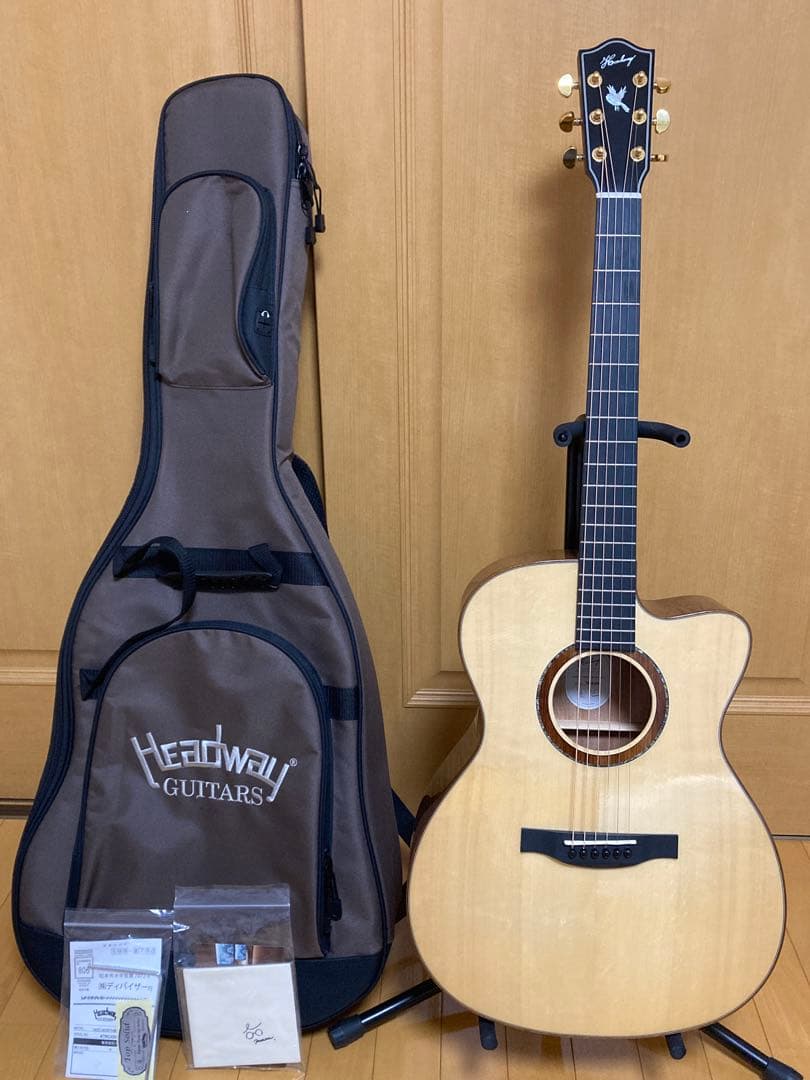 headway hoc-northbird 美品　ヘッドウェイ　アコースティック