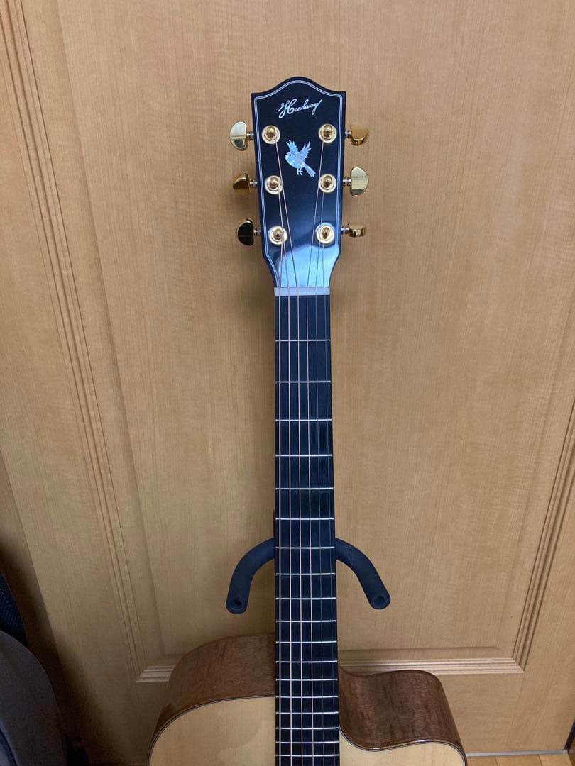 headway hoc-northbird 美品　ヘッドウェイ　アコースティック