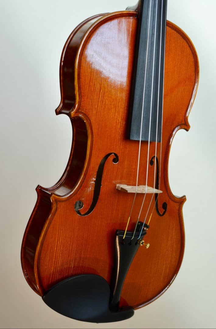 【Ayasa選定品】Gliga VASILE gama2 バイオリン 4/4