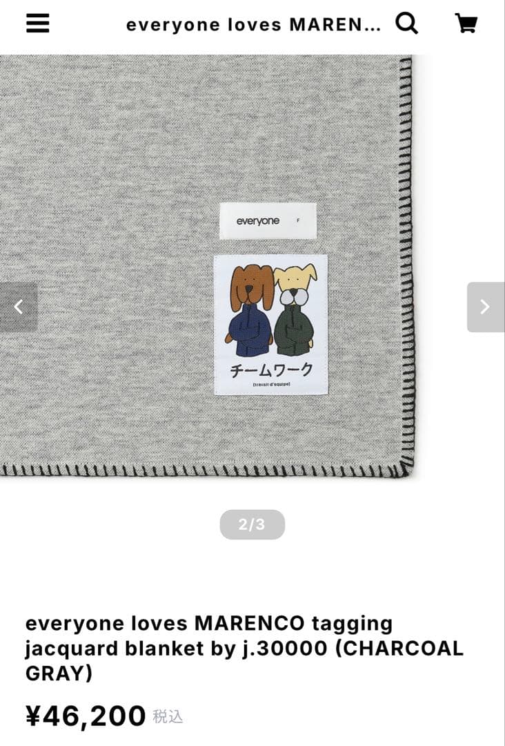 everyone MARENCO ブランケット スタイリスト私物 ennoy