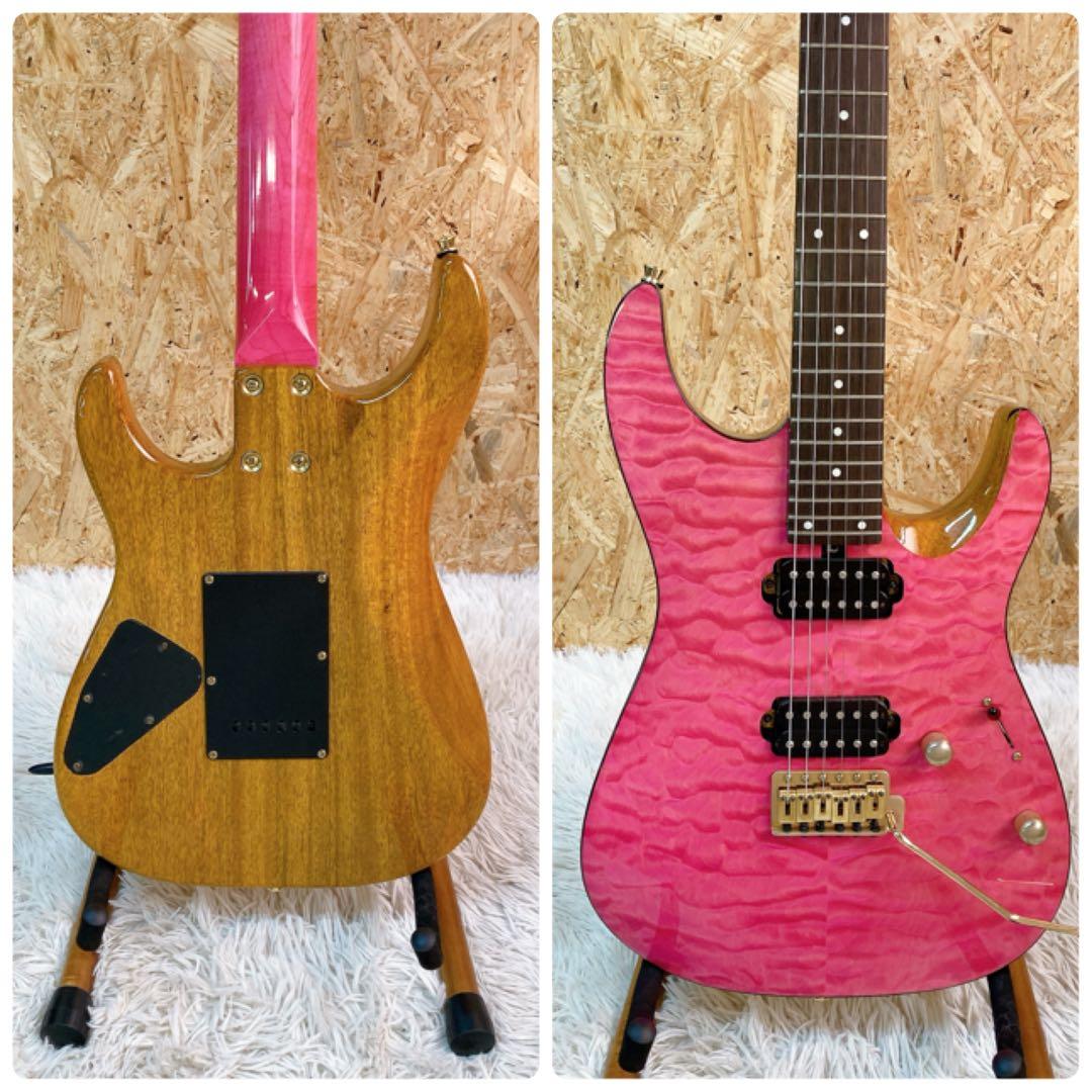 bacchus HGD custom 24 MG ソフトケース付き