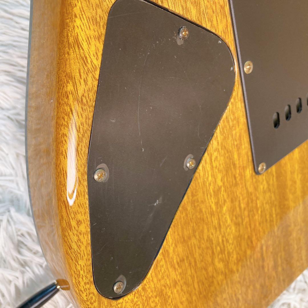 bacchus HGD custom 24 MG ソフトケース付き