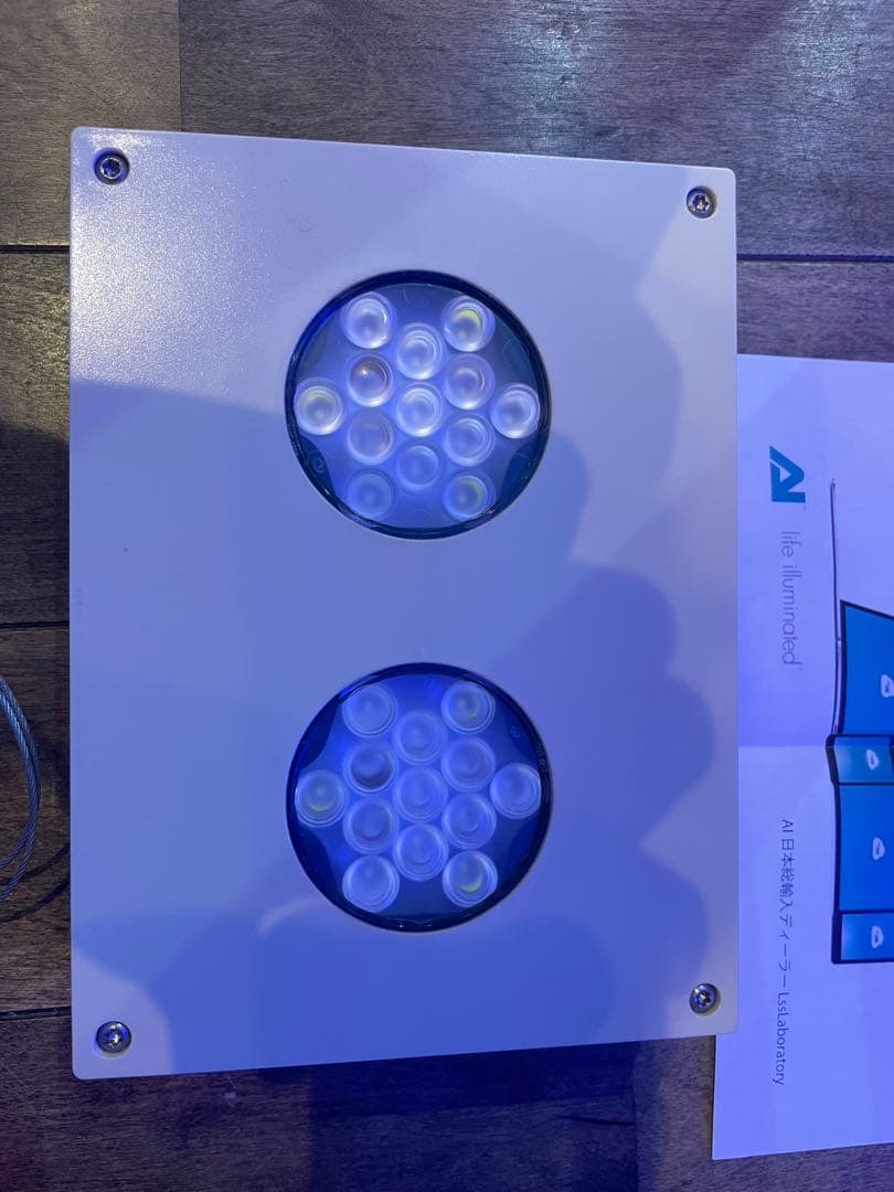 Hydna 26 ワイヤー付き