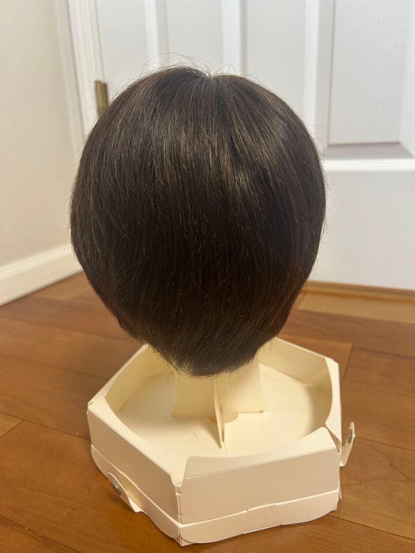 ジュリアオージェ　アートネイチャー 医療用ウィッグ　ANCS お手入れセット付