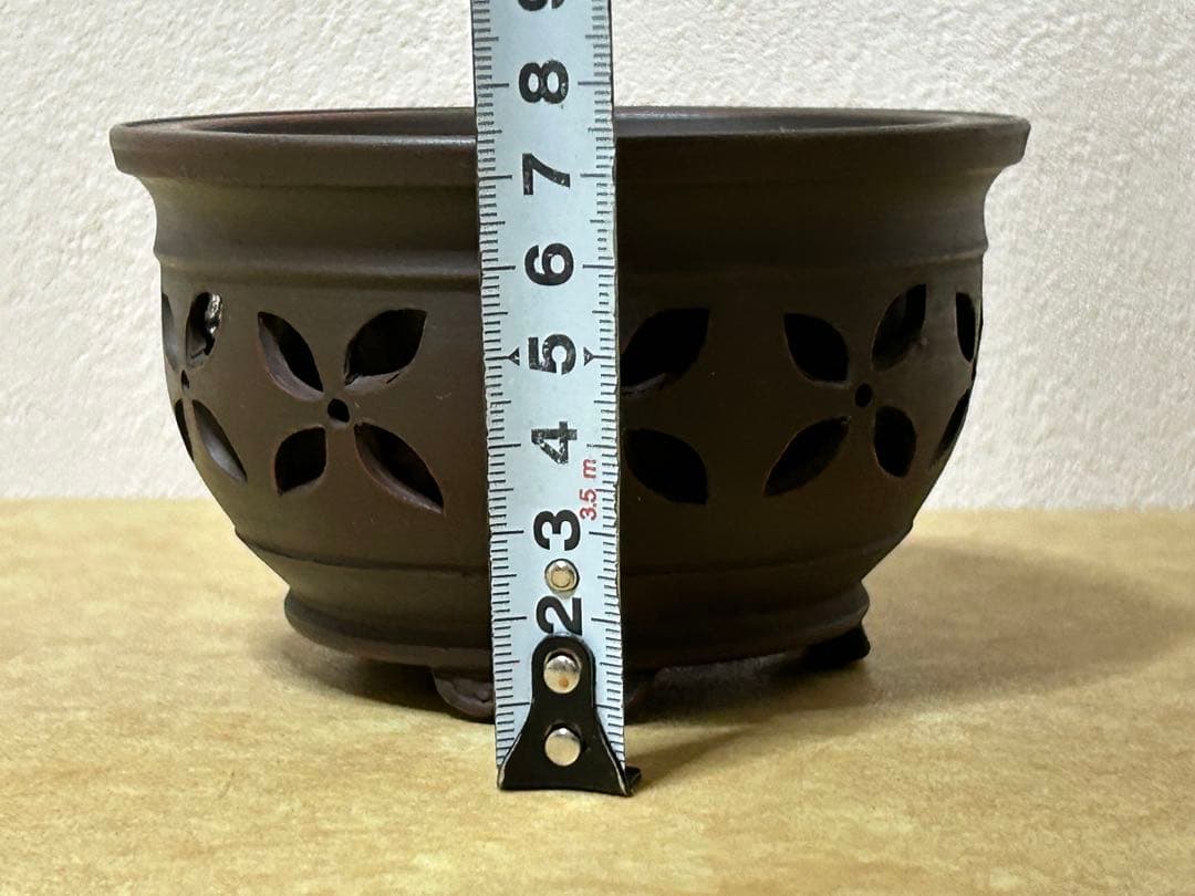 美芸　盆栽鉢　小品盆栽　山野草