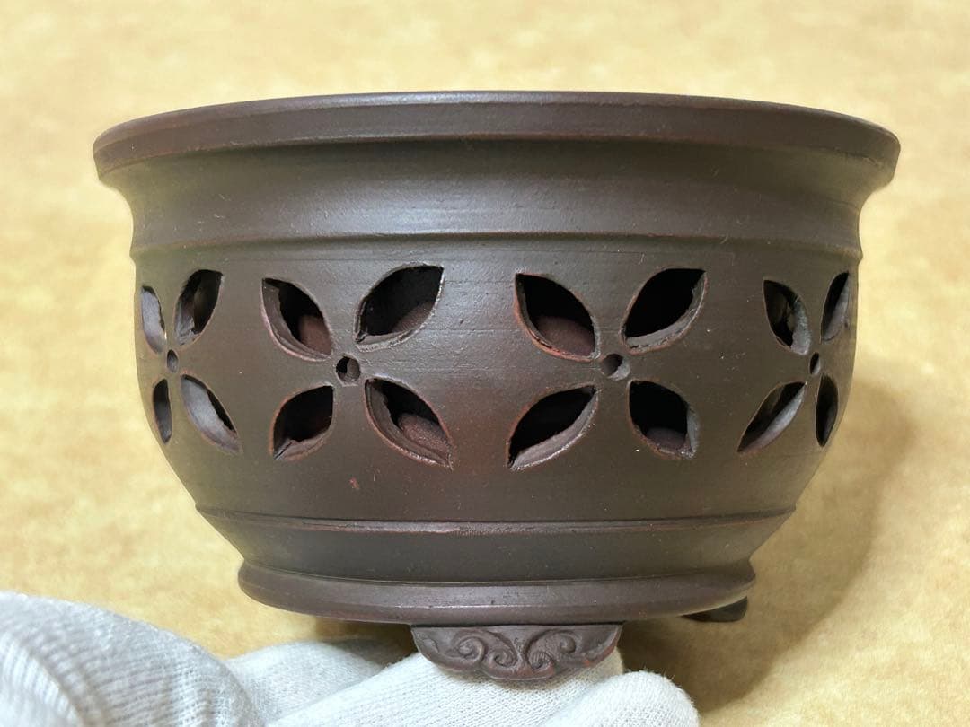 美芸　盆栽鉢　小品盆栽　山野草