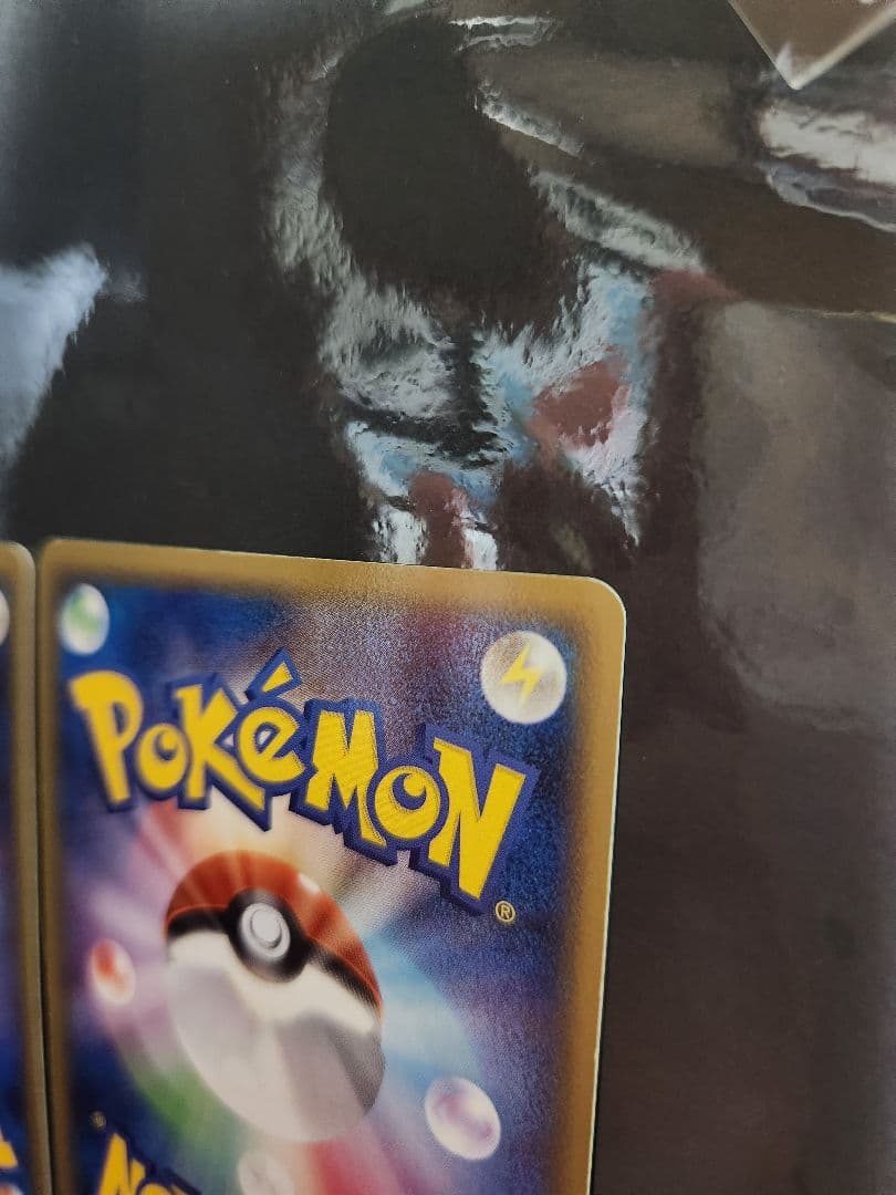 雷草闘エネルギー　ホロン。2006年