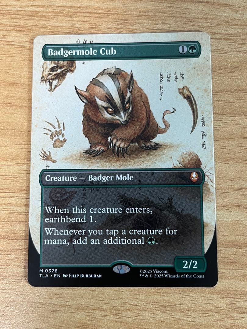 アナグマモグラの仔 Badgermole Cub