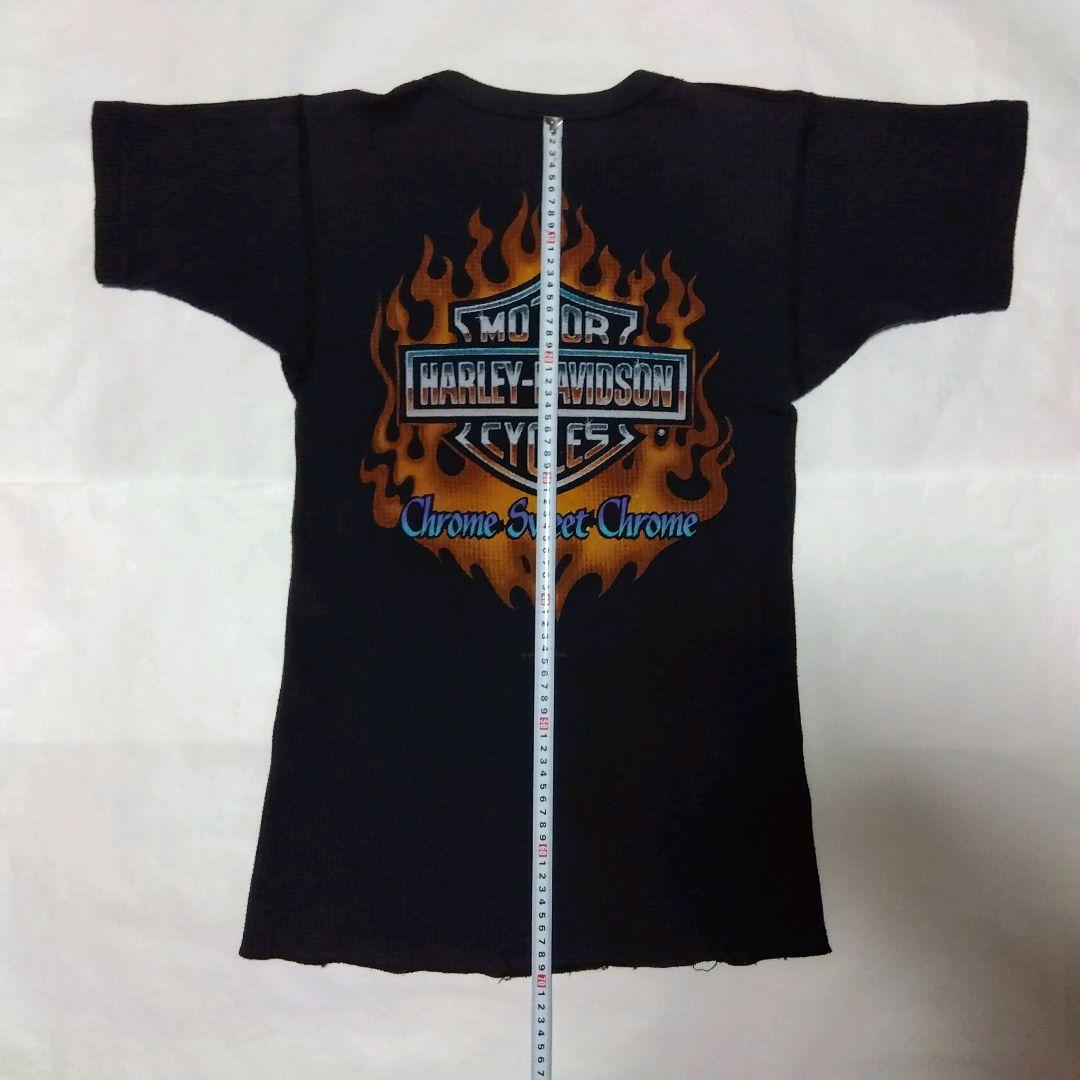 90s USA製 ハーレーダビットソン HOLOUBEK フレイム Tシャツ